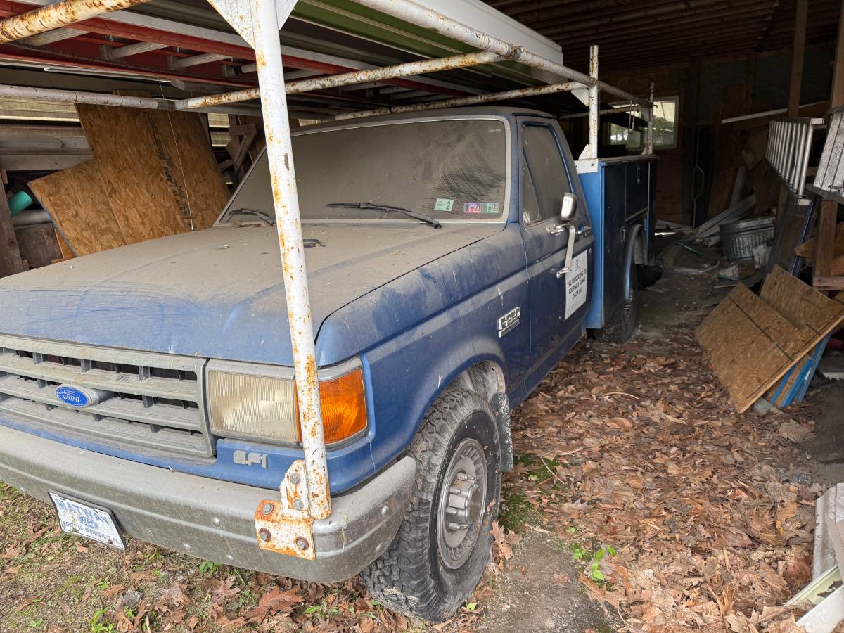 Ford-f-250-1989-blue-2