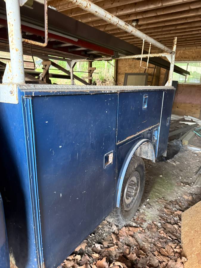 Ford-f-250-1989-blue-3