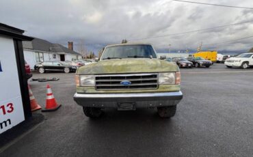 Ford-f-250-1990-green-4