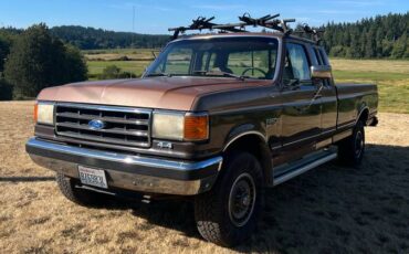Ford-f-250-1991-brown-1