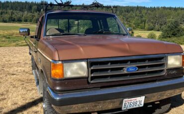 Ford-f-250-1991-brown-2