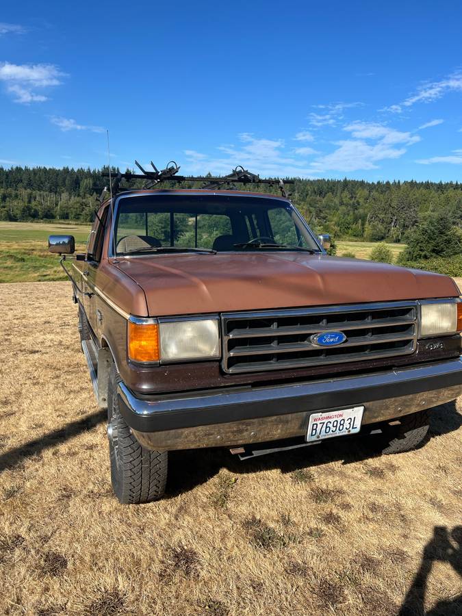 Ford-f-250-1991-brown-2