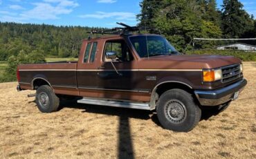 Ford-f-250-1991-brown-3