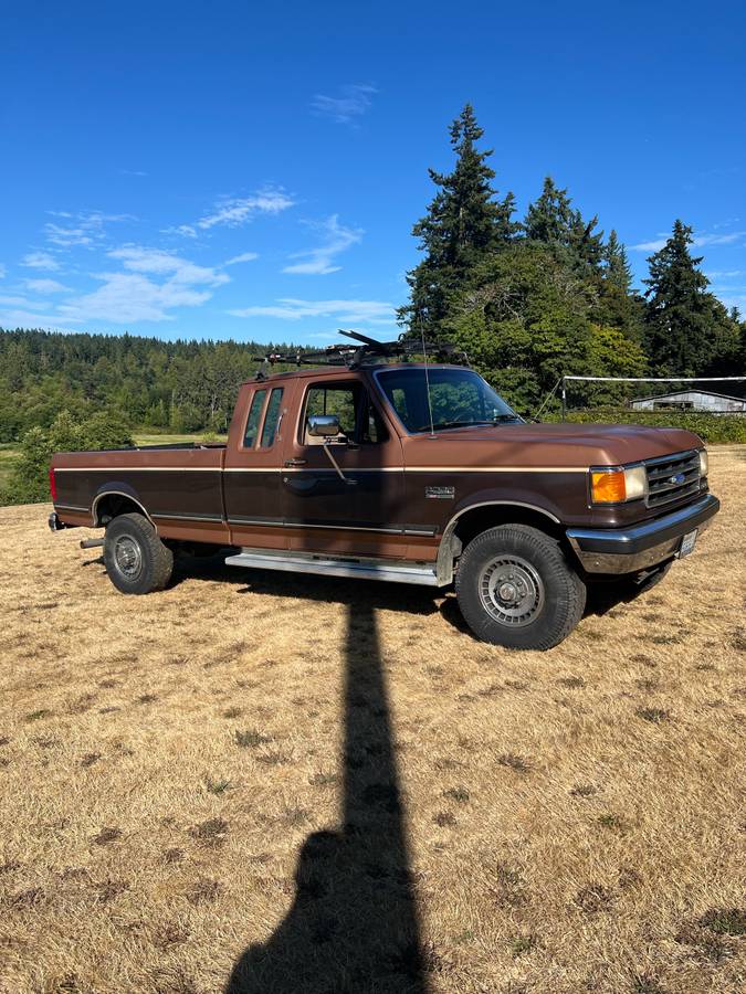 Ford-f-250-1991-brown-3