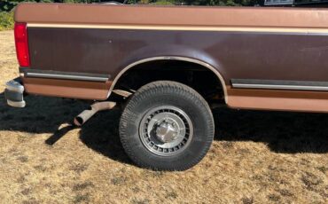 Ford-f-250-1991-brown-4