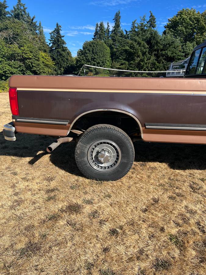 Ford-f-250-1991-brown-4