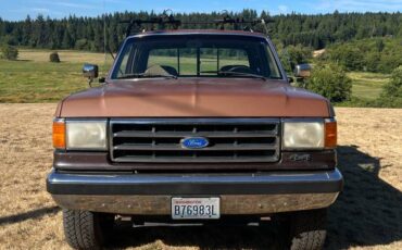 Ford-f-250-1991-brown