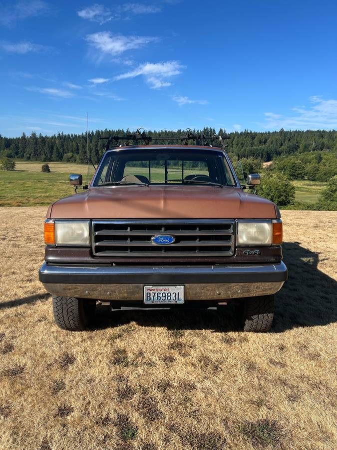 Ford-f-250-1991-brown