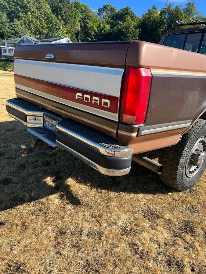 Ford-f-250-1991-brown-5