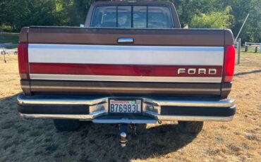 Ford-f-250-1991-brown-6