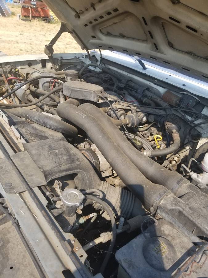 Ford-f-250-1991-white-8