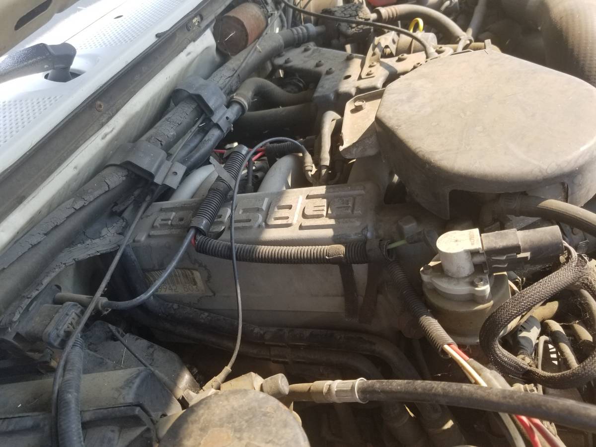 Ford-f-250-1991-white-9