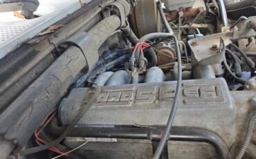 Ford-f-250-1995-white-3
