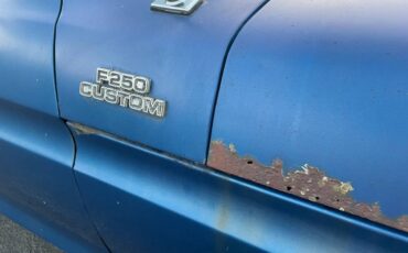 Ford-f-250-custom-1978-blue-4