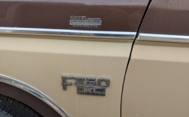 Ford-f-250-diesel-1984-brown-10