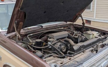 Ford-f-250-diesel-1984-brown-3