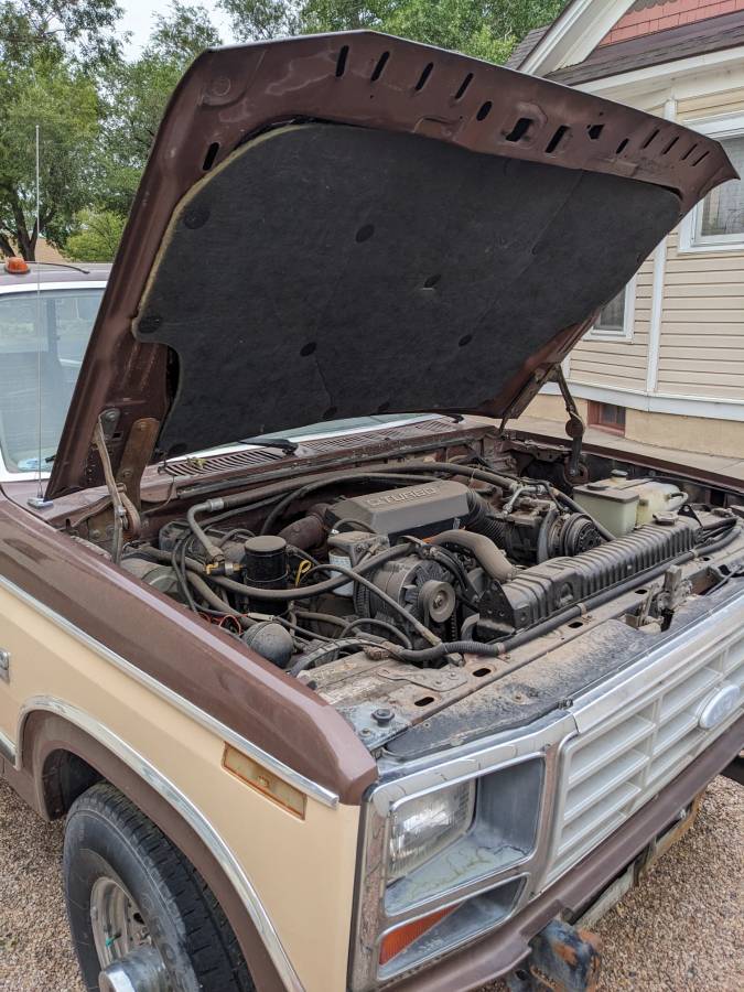 Ford-f-250-diesel-1984-brown-3