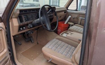 Ford-f-250-diesel-1984-brown-9