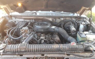 Ford-f-250-diesel-1985-green-12