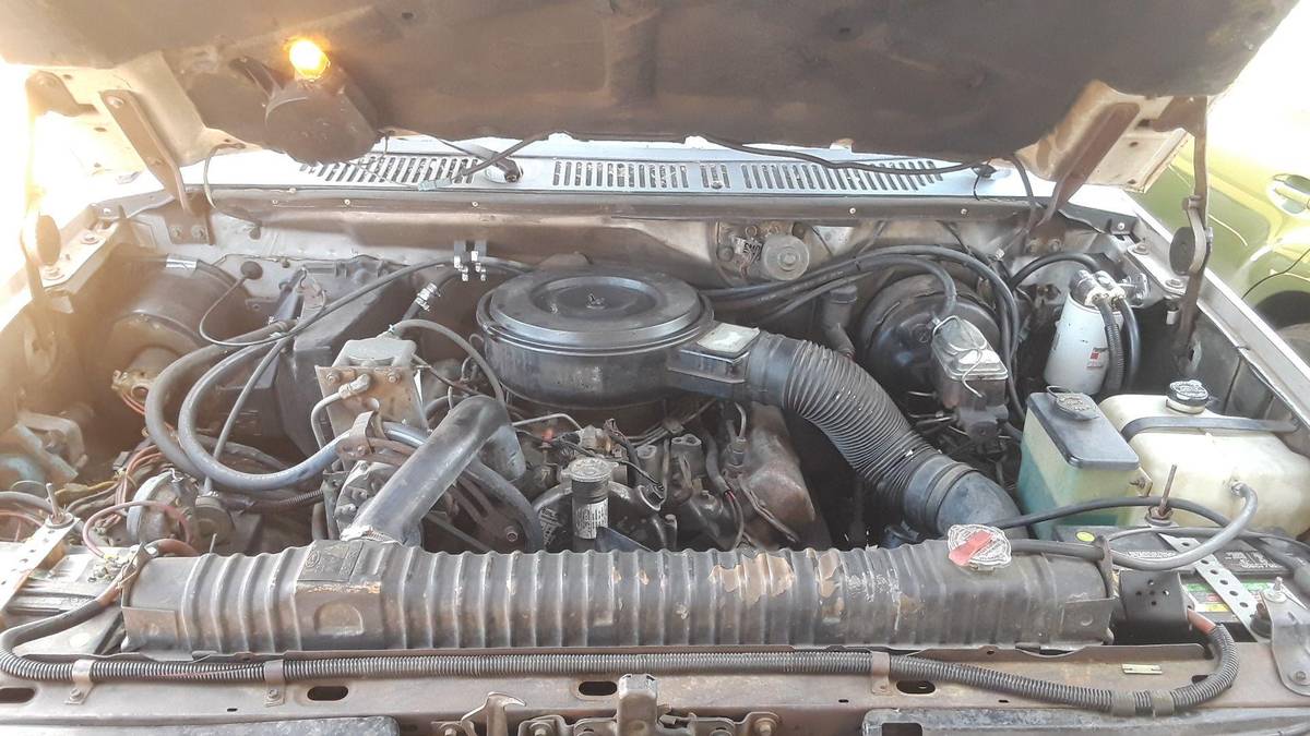 Ford-f-250-diesel-1985-green-12