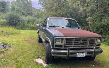 Ford-f-250-diesel-1986-blue-5