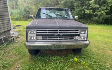 Ford-f-250-diesel-1986-blue-9
