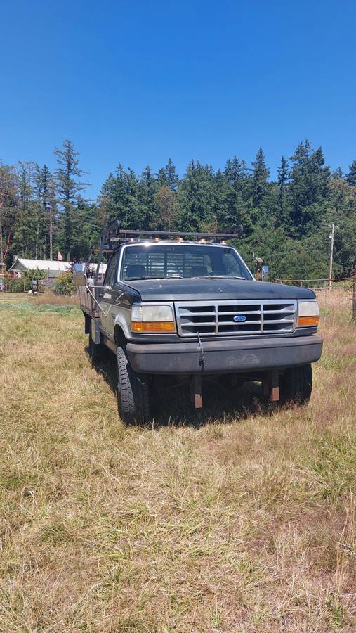 Ford-f-250-diesel-1993-black-2