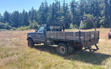 Ford-f-250-diesel-1993-black