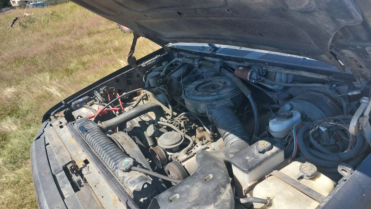 Ford-f-250-diesel-1993-black-6