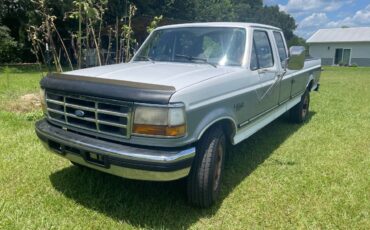 Ford-f-250-diesel-1994-grey-2