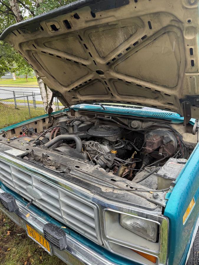 Ford-f-250-long-bed-1984-green-7