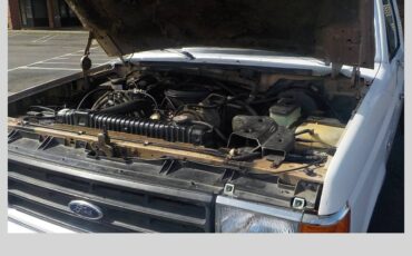 Ford-f-250-stake-bed-5sp-7.3l-diesel-1988-white-16