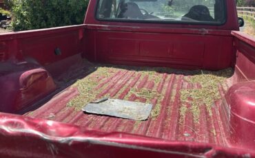 Ford-f-250-turbodiesel-1994-red-4