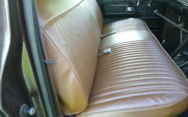 Ford-f-350-1974-brown