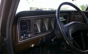 Ford-f-350-1974-brown-9
