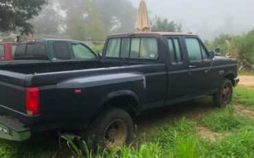 Ford-f-350-1991-blue-1