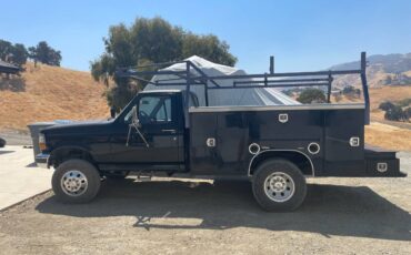 Ford-f-350-diesel-1995-black-3