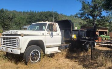 Ford-f-600-1979-2
