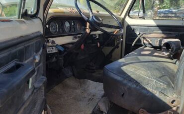 Ford-f-600-1979-3