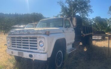 Ford-f-600-1979