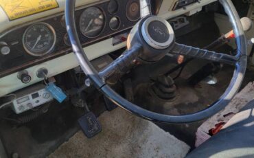 Ford-f-600-1979-5