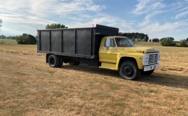 Ford-f-750-1969-yellow