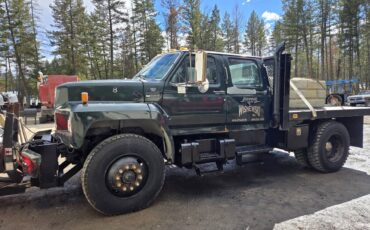 Ford-f-800-diesel-1994-1