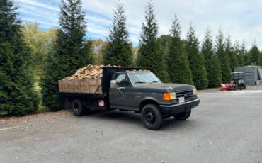 Ford-f-super-duty-1988-grey-11