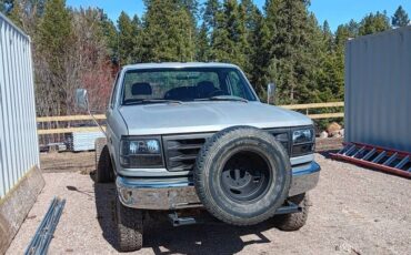 Ford-f-super-duty-1995-silver-1