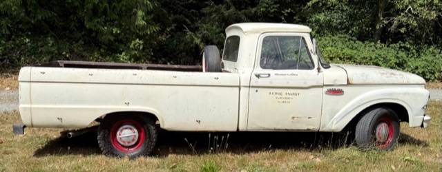 Ford-f100-1965-white-5
