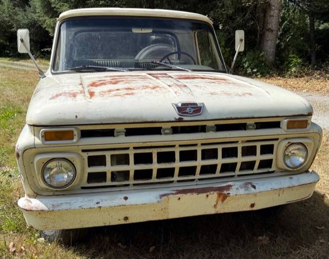 Ford-f100-1965-white-6