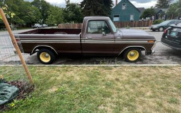 Ford-f100-1979-brown-1