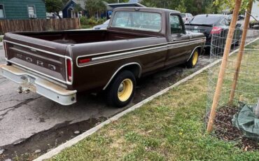 Ford-f100-1979-brown-2