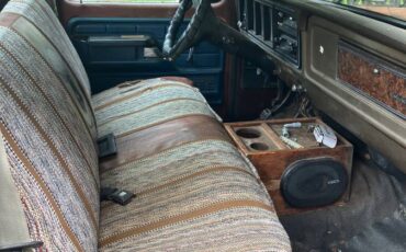 Ford-f100-1979-brown-2